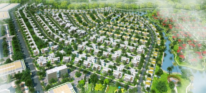 The Viva City
