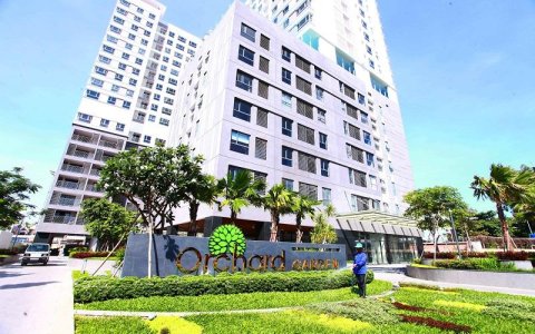 Orchard Garden
