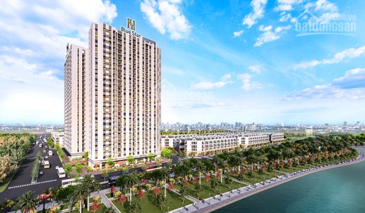 Hanhomes Blue Star