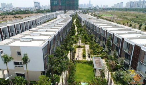 Palm Residence