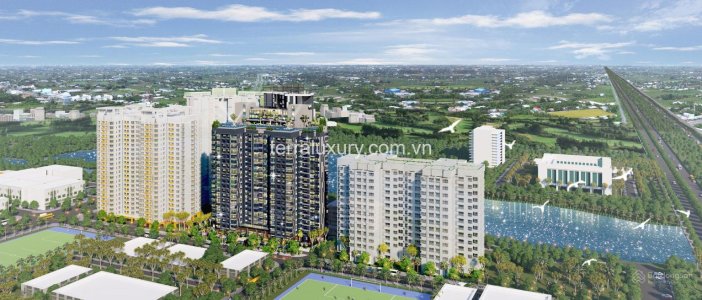 Terra Luxury