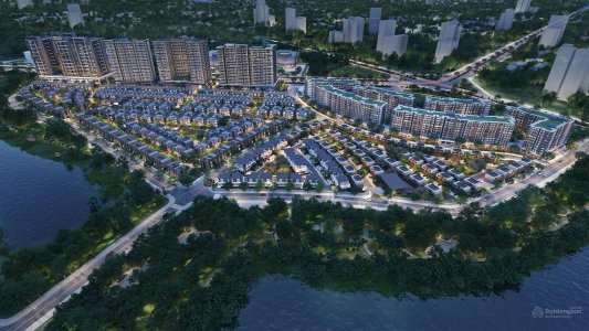 Orchard Hill - Sycamore