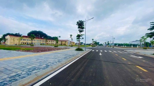 Tân Mỹ Avenue