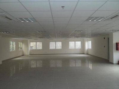 TTTM – DV - VP Hàng Xanh