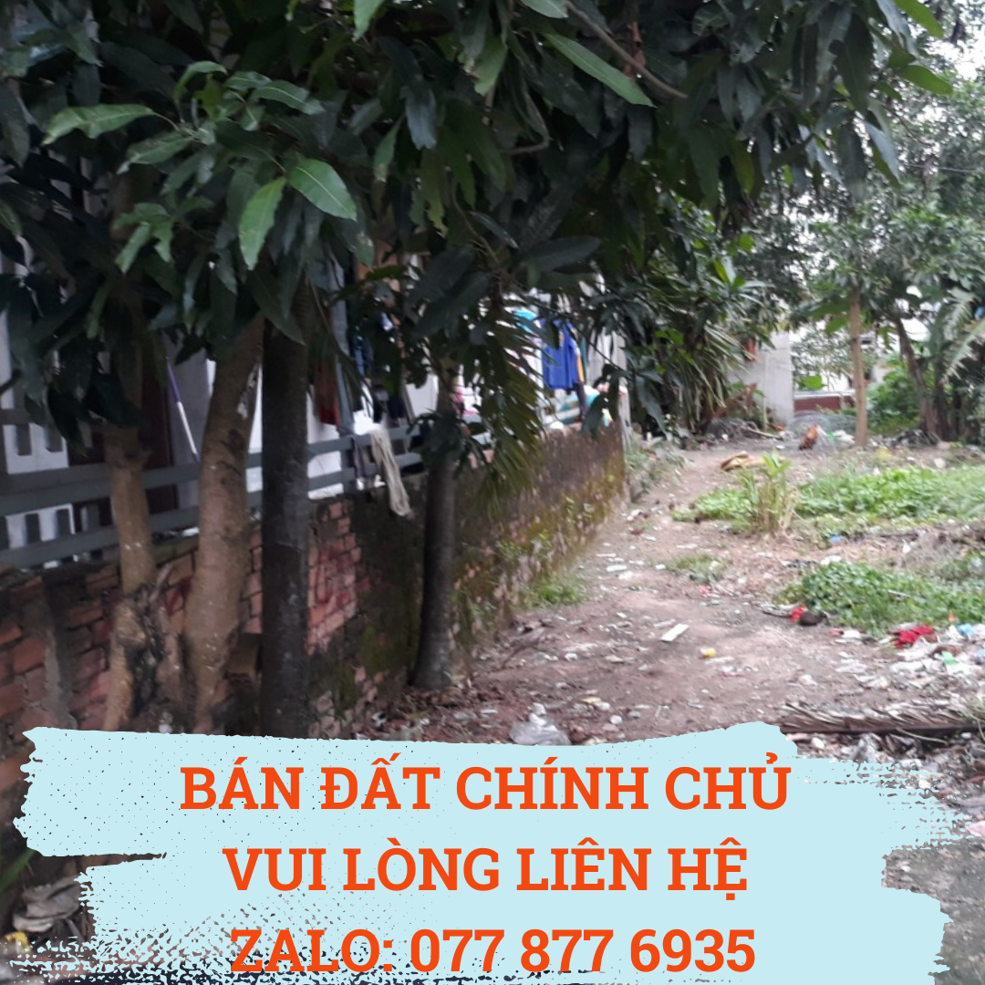 Trần Nam
