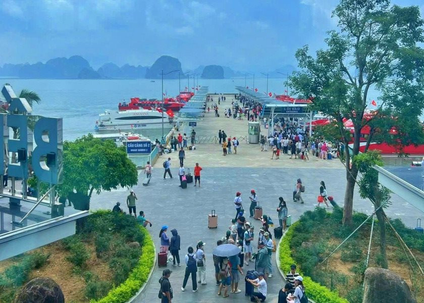 Vân Đồn vào mùa hút khách: Crystal Holidays Harbour tung ưu đãi lớn mừng đại lễ
